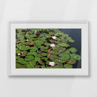 PWP093W062