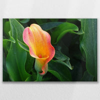 LW-075W050