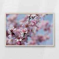 PN-093W062
