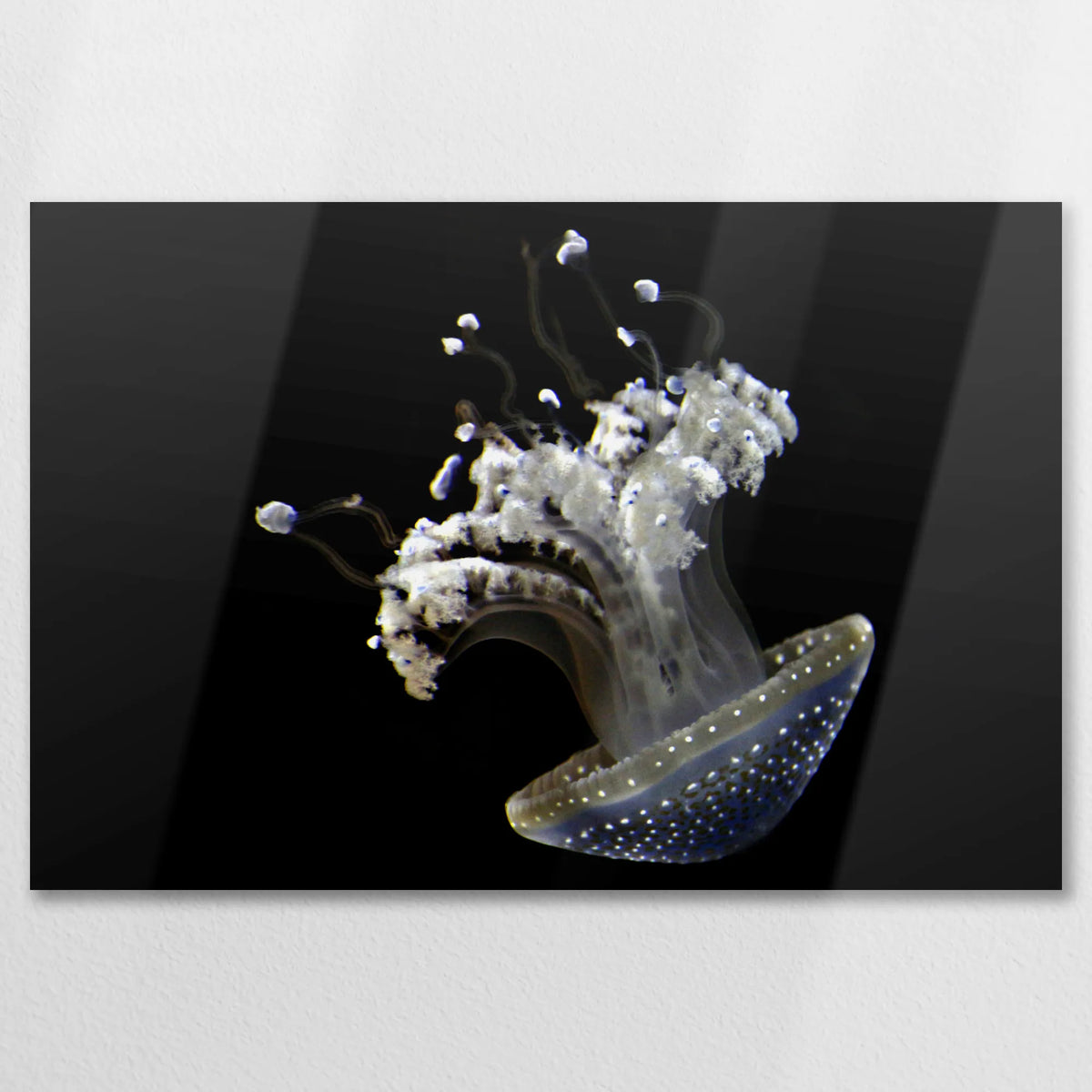 AL-090W060