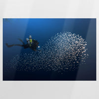 PO-090W060