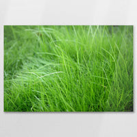 AC-075W050