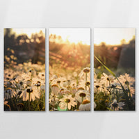 AL-120R080