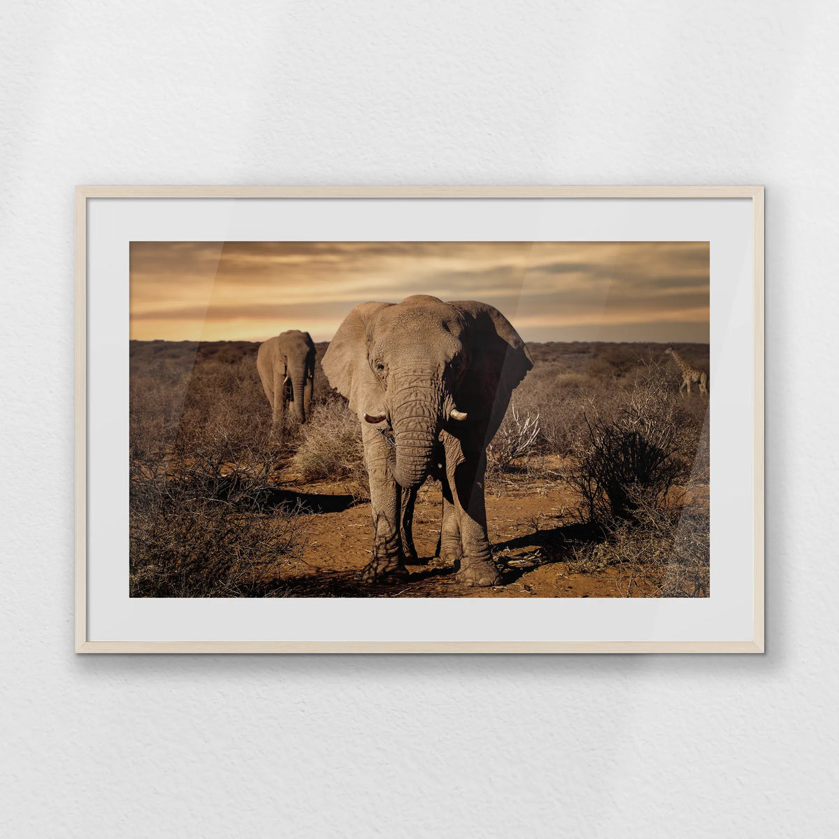PNP100W070