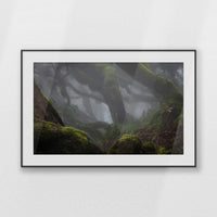 PBP100W070
