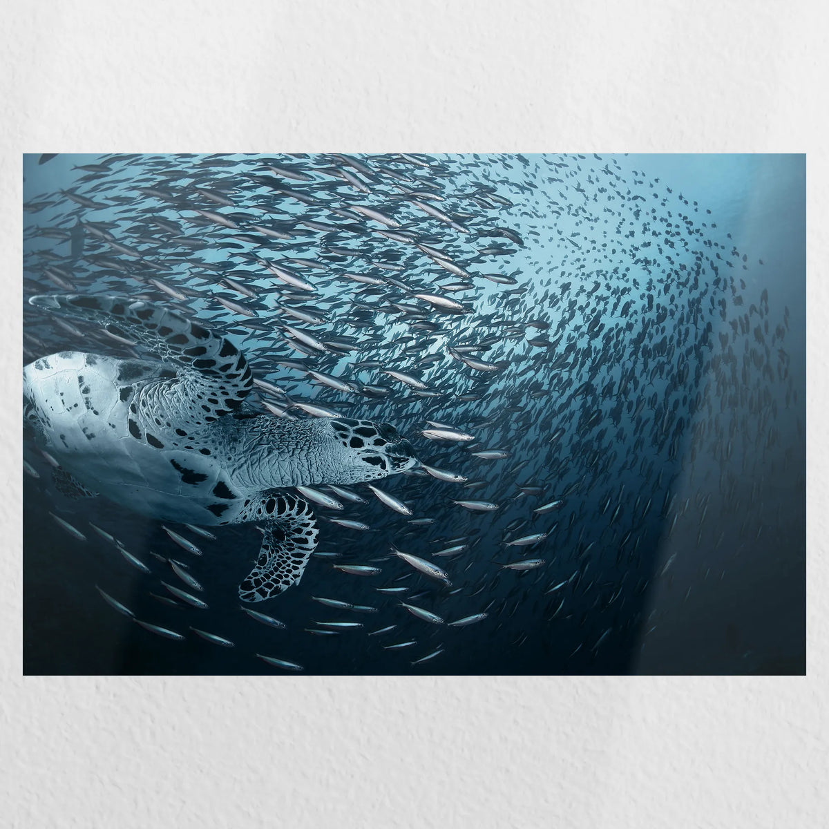 PO-060W040