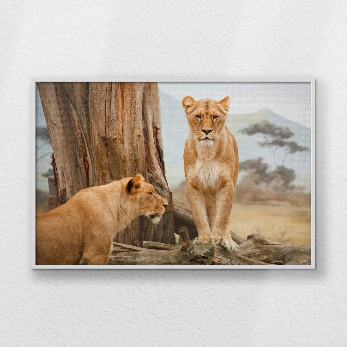 LWW120W080