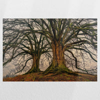 PO-060W040