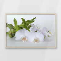 PN-093W062