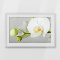 PWP100W070