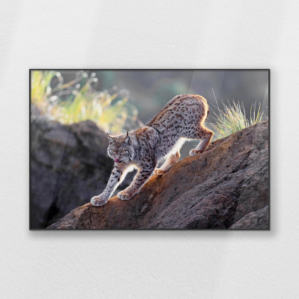 PB-120W080