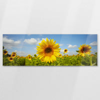 AC-150P050