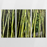 AC-210R140