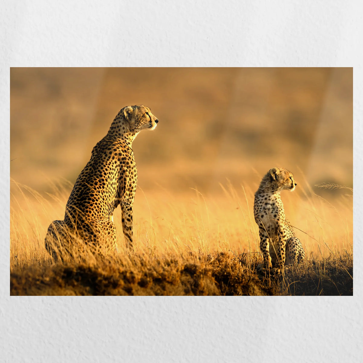 PO-060W040