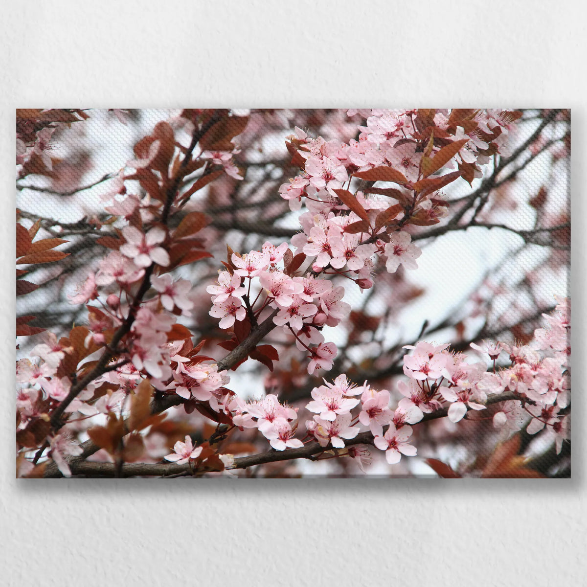 LW-030W020