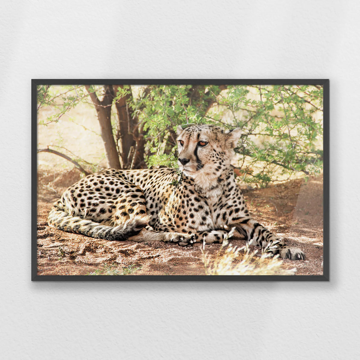PK-093W062