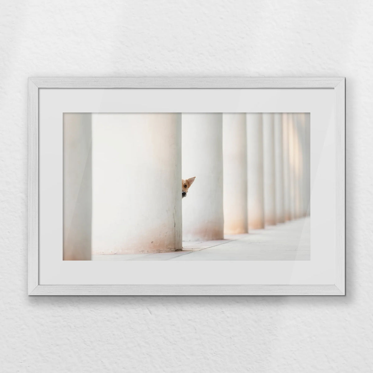 PWP060W040