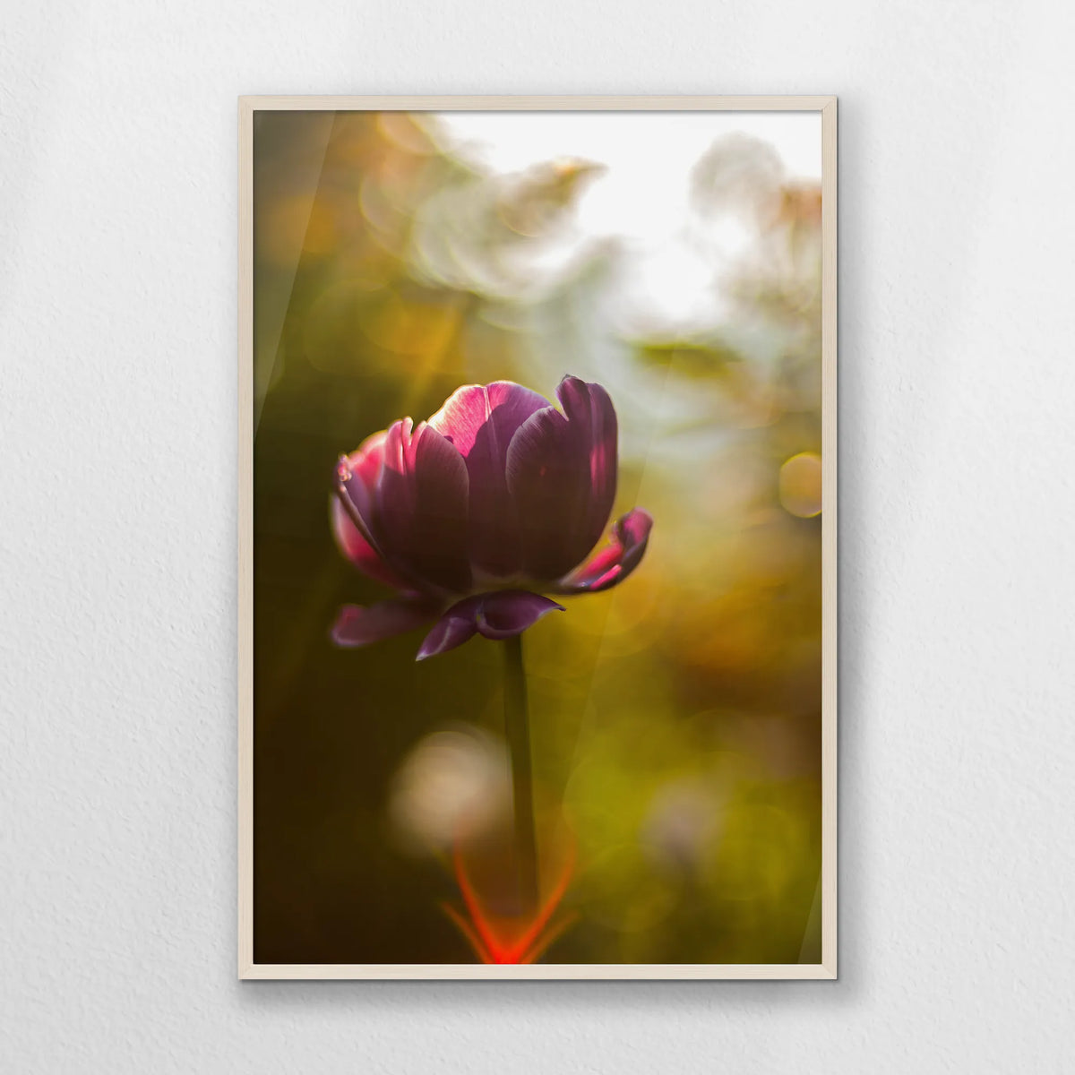 PN-070W100