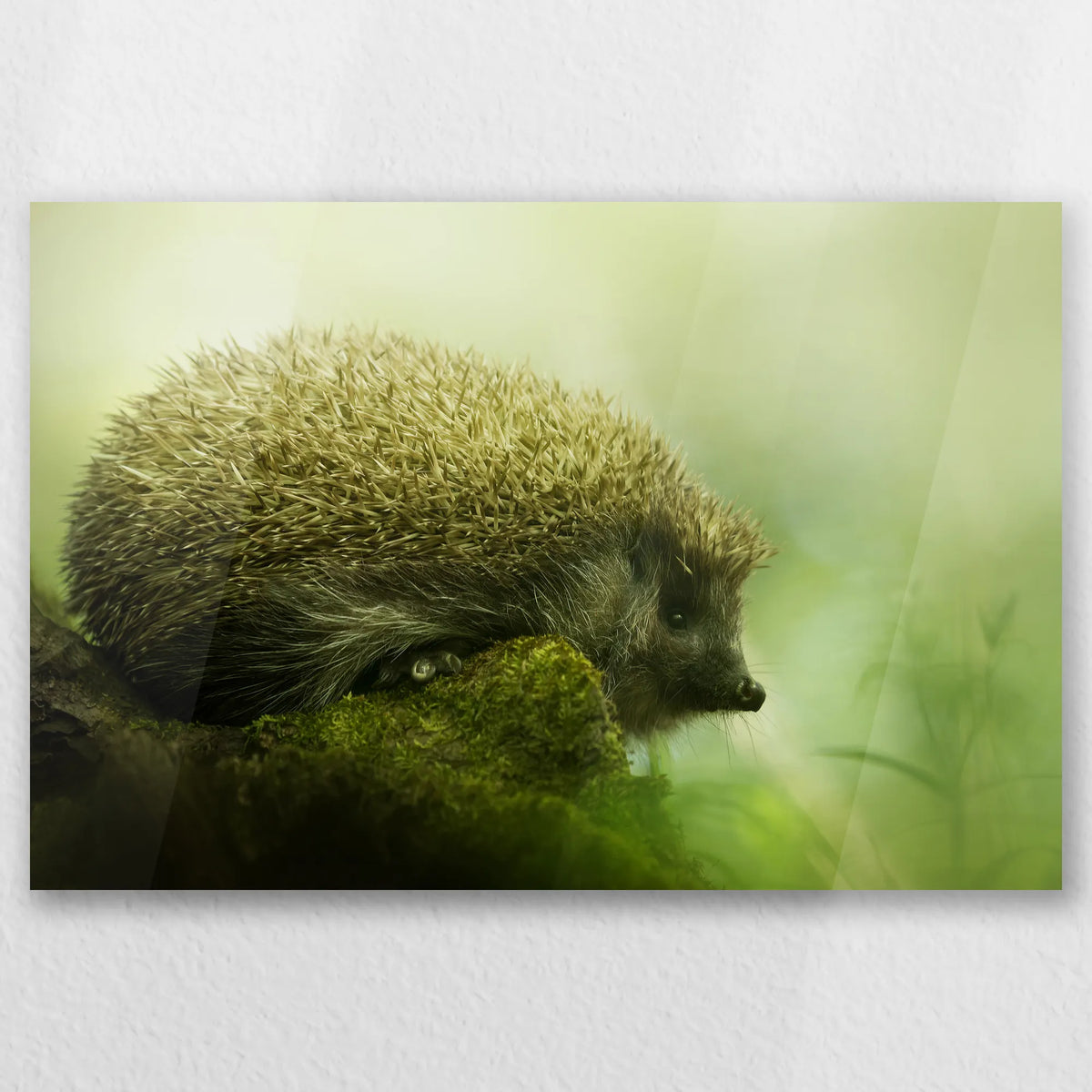 AC-045W030