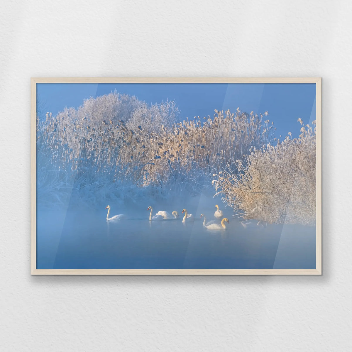 PN-093W062