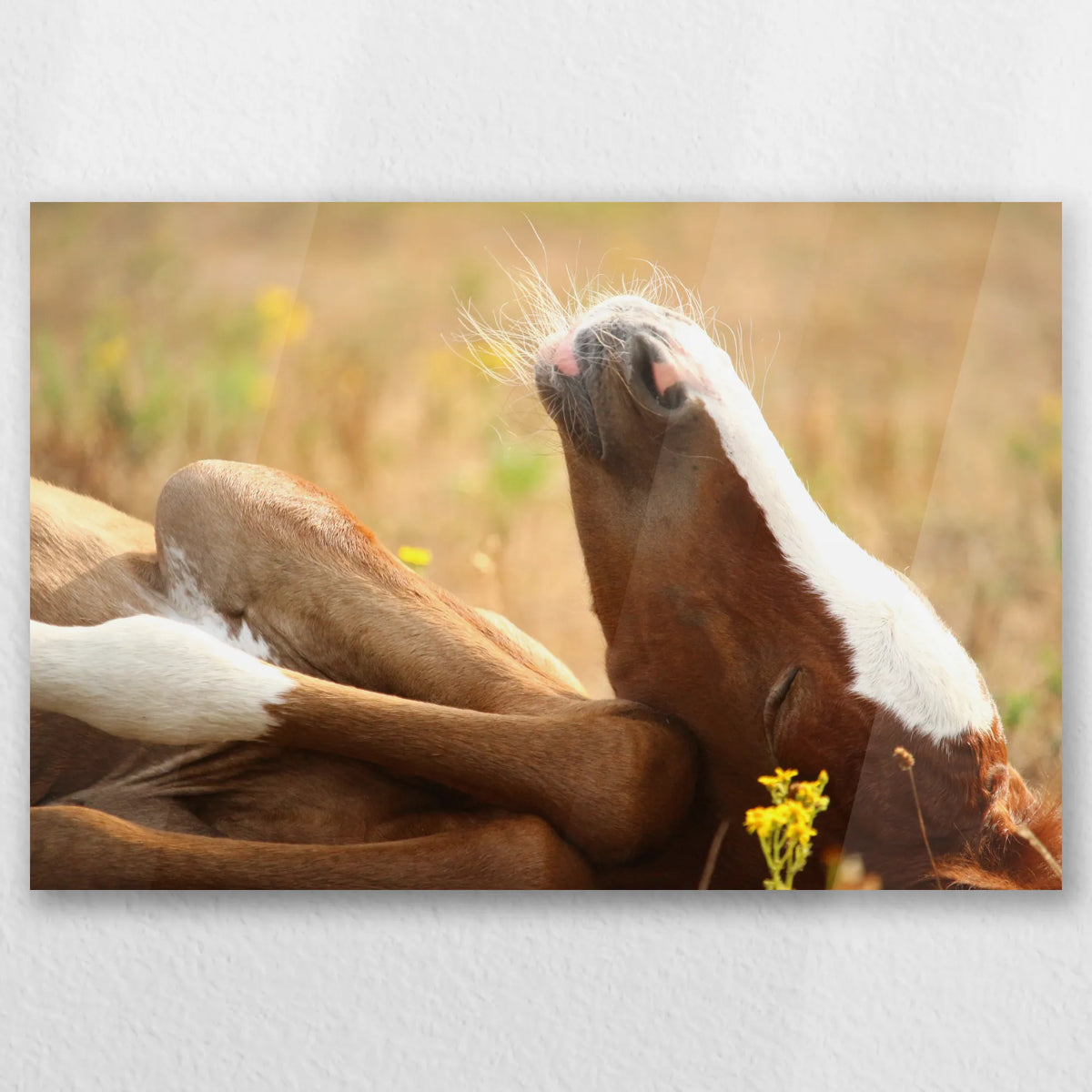 AC-030W020