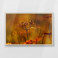 PN-093W062