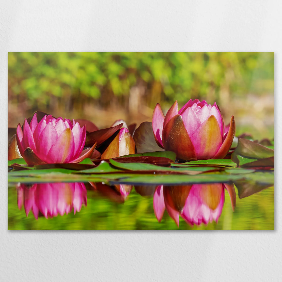 AL-120W080