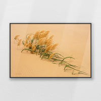 PB-093W062