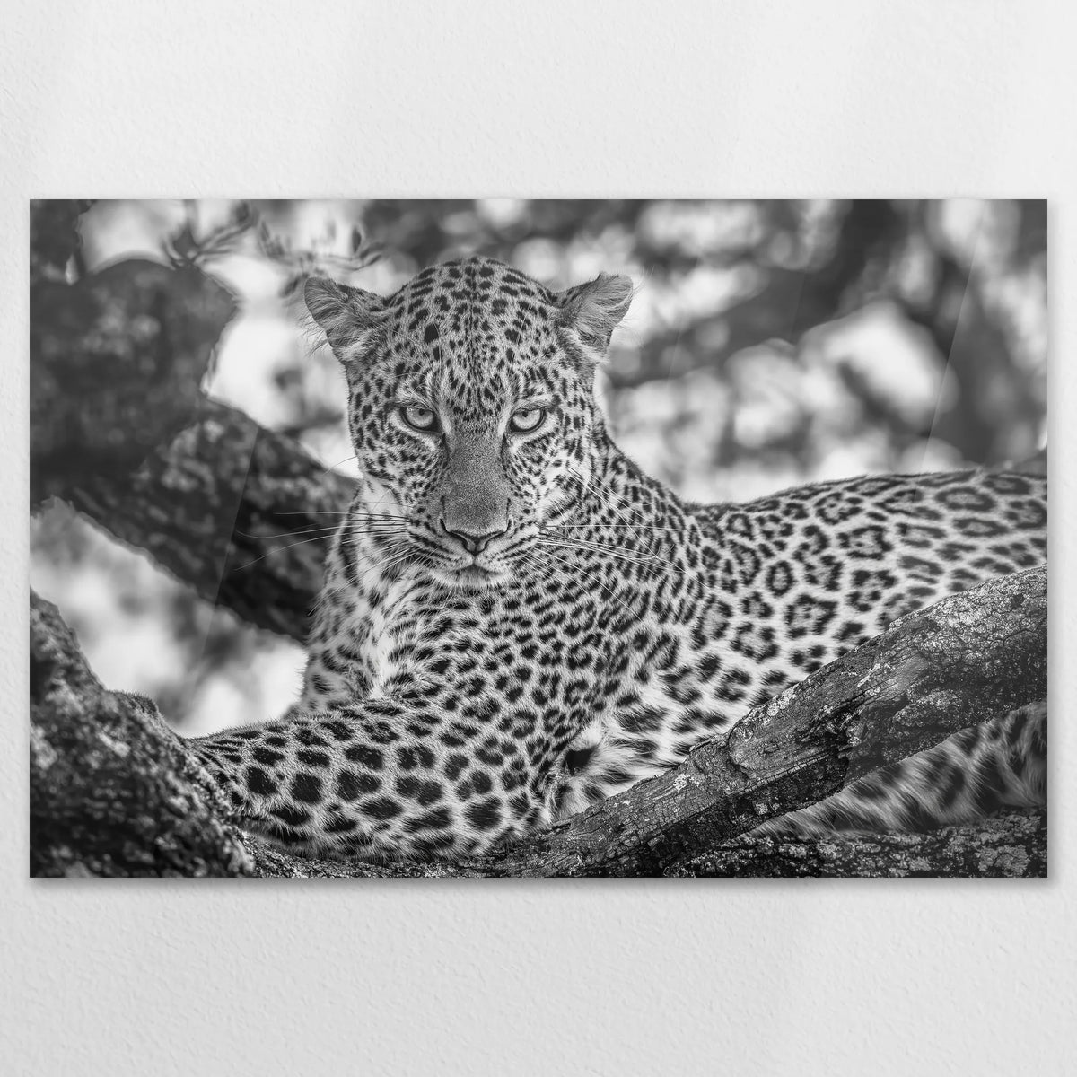 AC-120W080