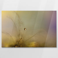 AC-075W050