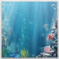 AC-050W050