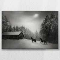 LW-030W020