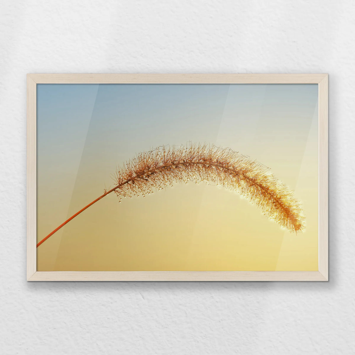 PN-060W040