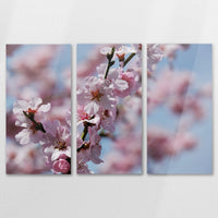 AC-120R080