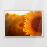 PN-100W070