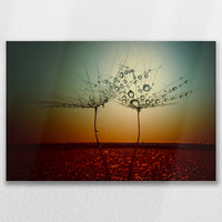 LW-075W050
