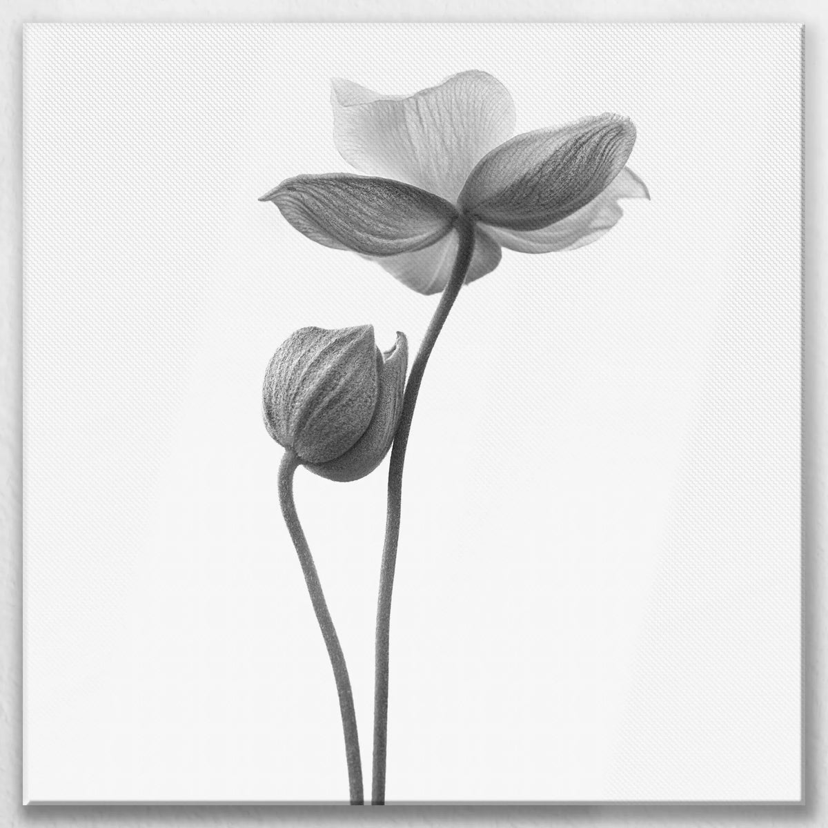 LW-080W080