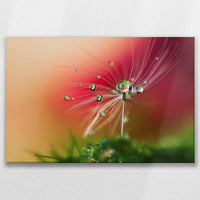 LW-075W050