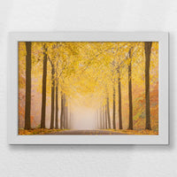 LWW030W020