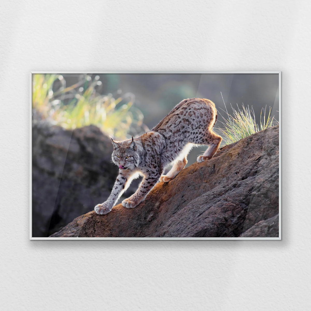 PS-093W062