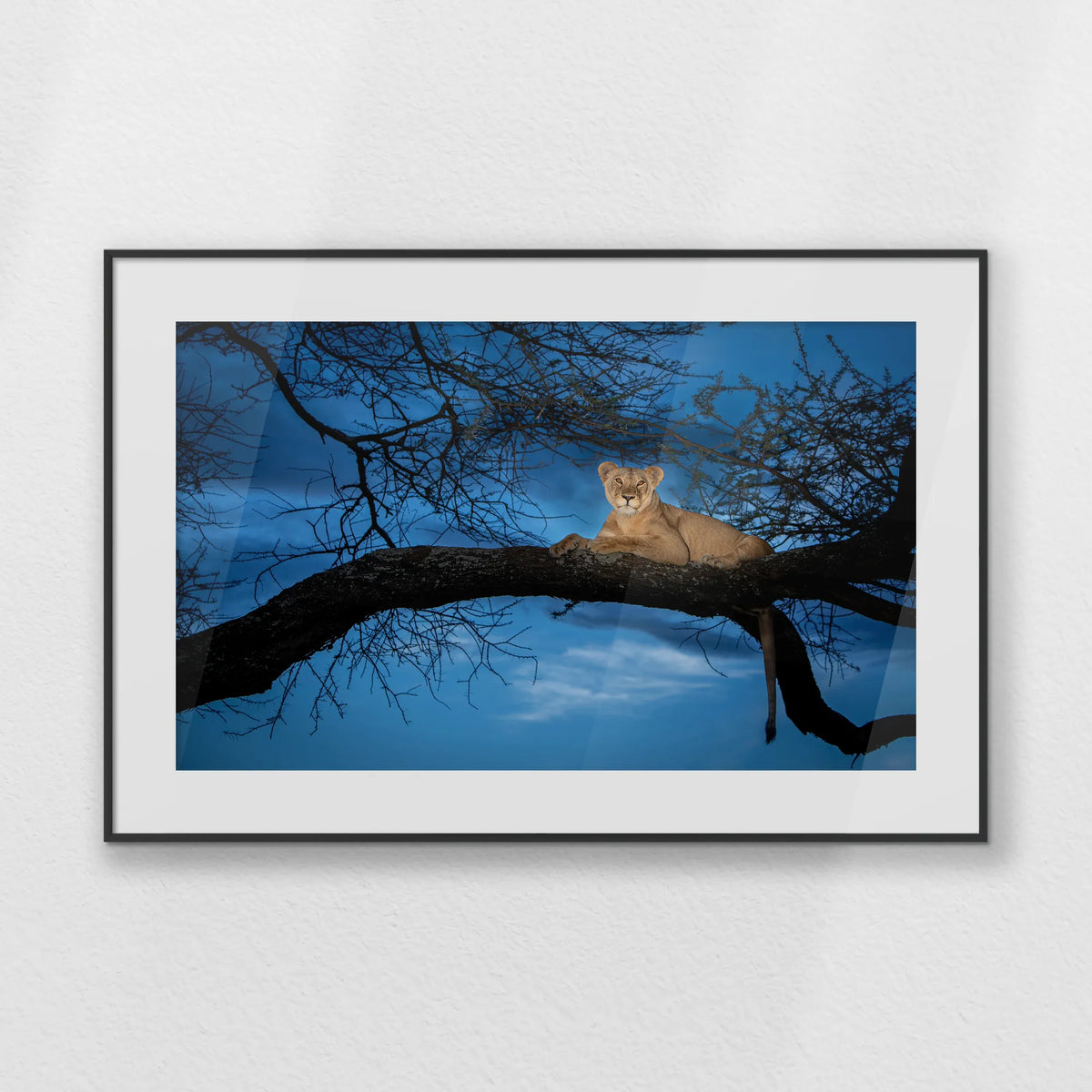 PBP093W062