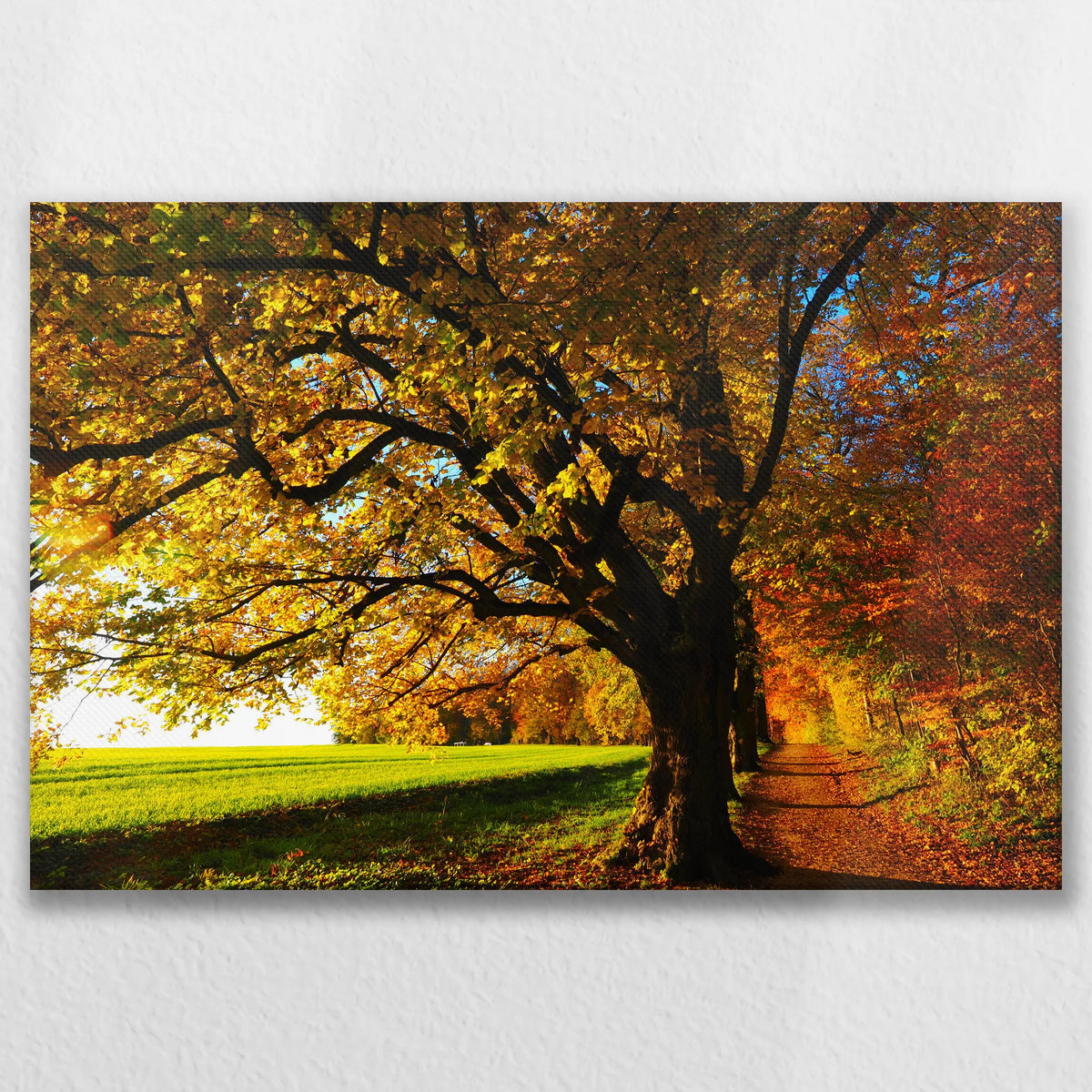 LW-090W060