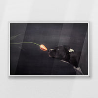 PW-093W062