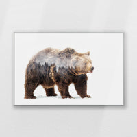 PS-120W080