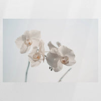 PO-075W050