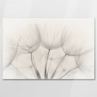 AC-075W050