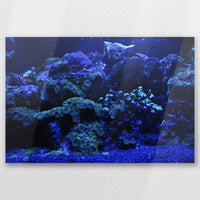 AL-060W040