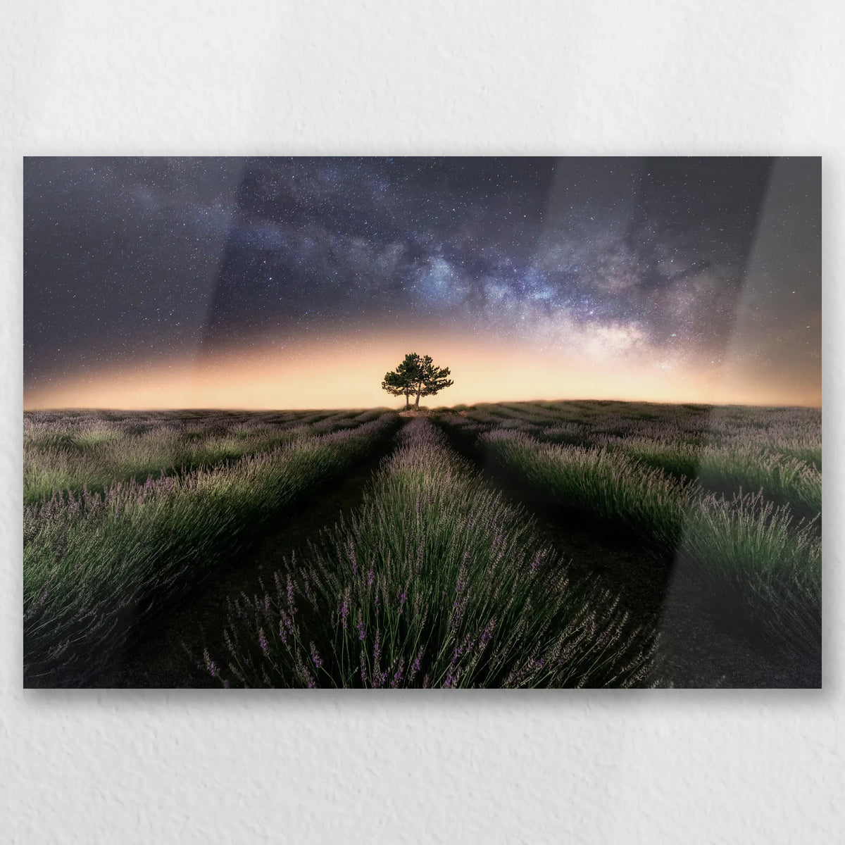 AL-030W020