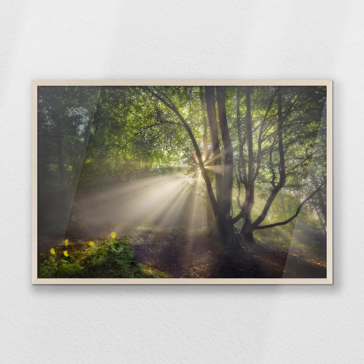 PN-093W062