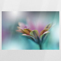 PO-060W040